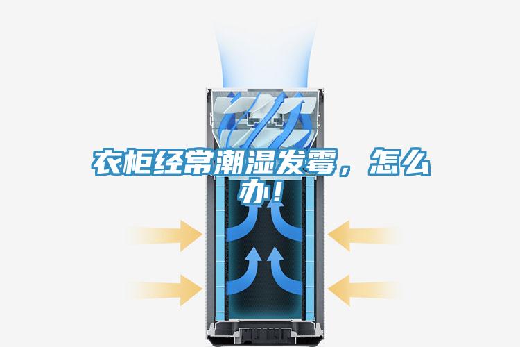 衣柜经常潮湿发霉，怎么办！