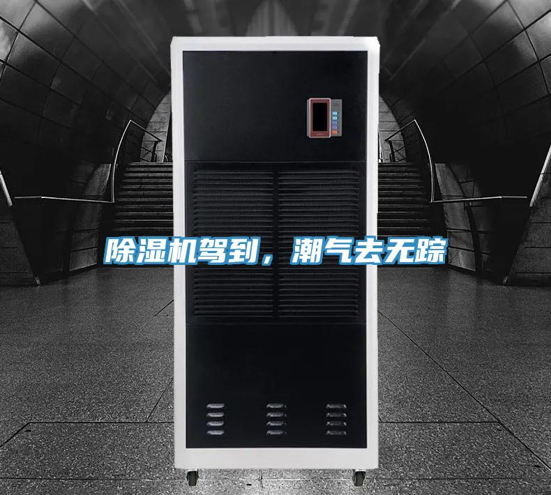 辣椒视频APP下载并安装驾到，潮气去无踪