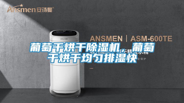 葡萄干烘干辣椒视频APP下载并安装，葡萄干烘干均匀排湿快