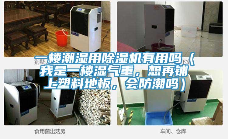 一楼潮湿用辣椒视频APP下载并安装有用吗（我是一楼湿气重，想再铺上塑料地板，会防潮吗）
