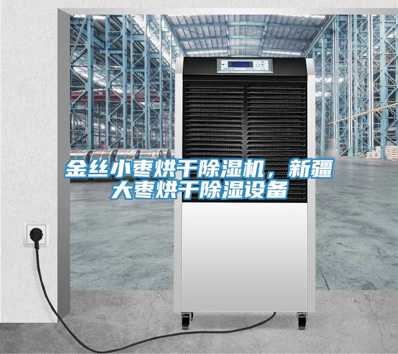 金丝小枣烘干辣椒视频APP下载并安装，新疆大枣烘干除湿设备