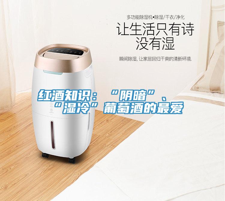 红酒知识：“阴暗”、“湿冷”葡萄酒的最爱