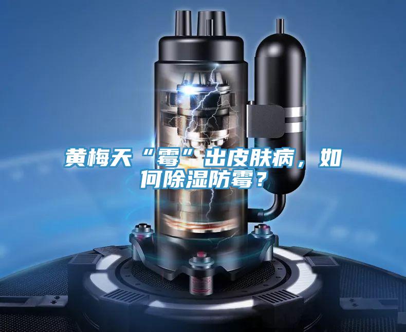 黄梅天“霉”出皮肤病，如何除湿防霉？