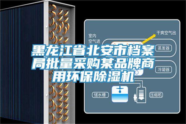 黑龙江省北安市档案局批量采购某品牌商用环保辣椒视频APP下载并安装