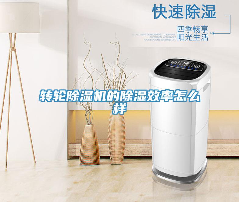 转轮辣椒视频APP下载并安装的除湿效率怎么样