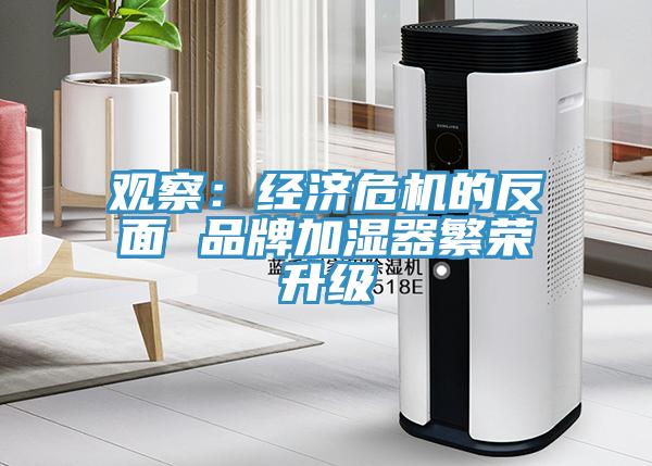 观察：经济危机的反面 品牌加湿器繁荣升级