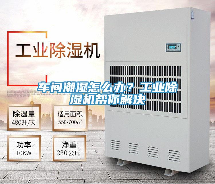 车间潮湿怎么办？工业辣椒视频APP下载并安装帮你解决