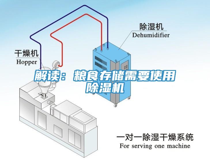 解读：粮食存储需要使用辣椒视频APP下载并安装