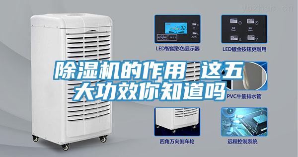 辣椒视频APP下载并安装的作用 这五大功效你知道吗