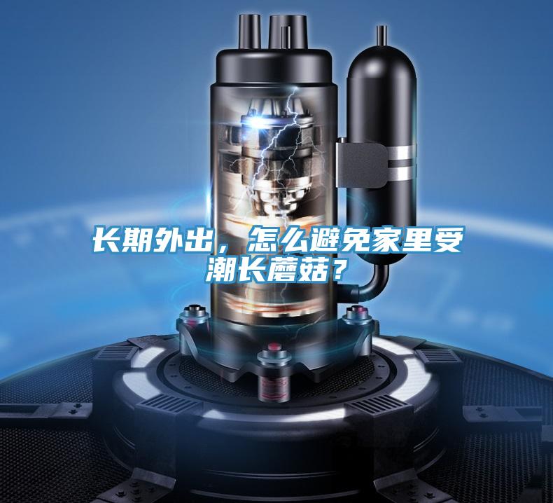 长期外出，怎么避免家里受潮长蘑菇？
