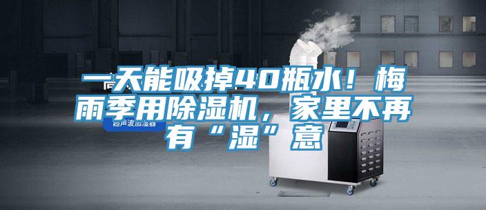 一天能吸掉40瓶水！梅雨季用辣椒视频APP下载并安装，家里不再有“湿”意