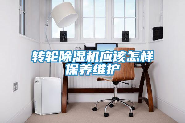转轮辣椒视频APP下载并安装应该怎样保养维护