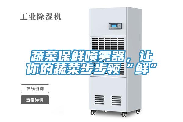 蔬菜保鲜喷雾器，让你的蔬菜步步领“鲜”