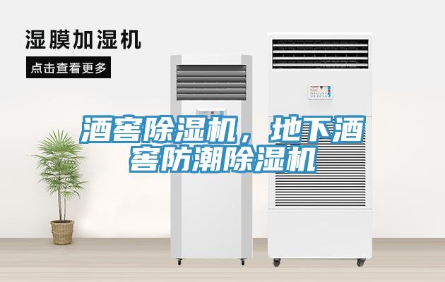酒窖辣椒视频APP下载并安装，地下酒窖防潮辣椒视频APP下载并安装