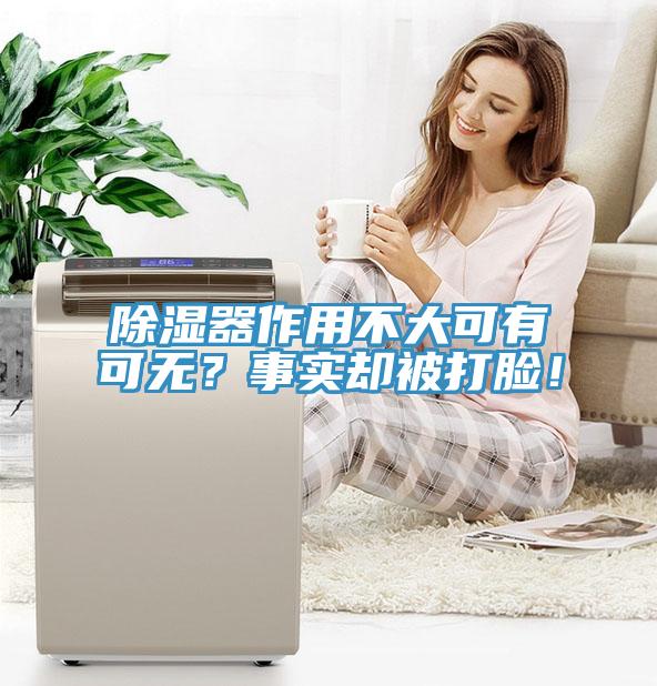 除湿器作用不大可有可无？事实却被打脸！