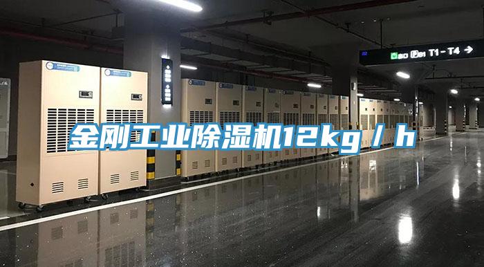 金刚工业辣椒视频APP下载并安装12kg／h
