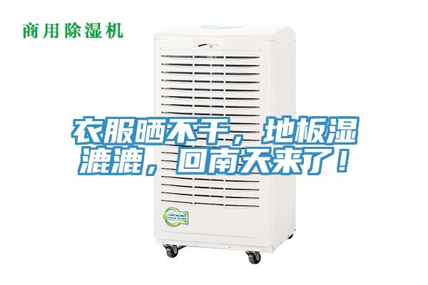衣服晒不干，地板湿漉漉，回南天来了！