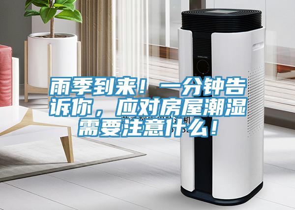 雨季到来！一分钟告诉你，应对房屋潮湿需要注意什么！