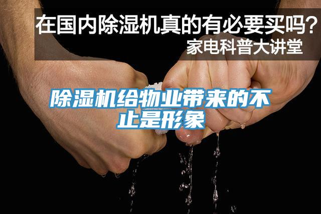 辣椒视频APP下载并安装给物业带来的不止是形象