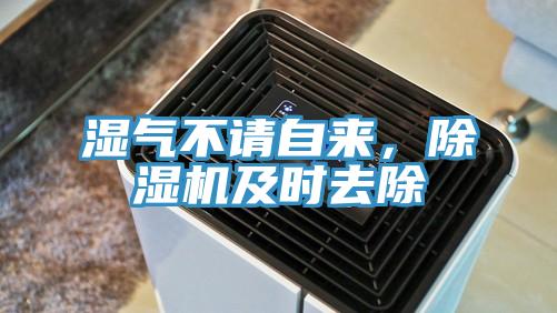湿气不请自来，辣椒视频APP下载并安装及时去除