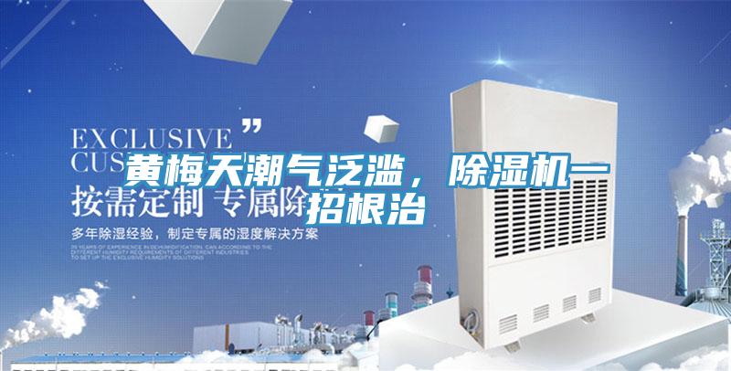 黄梅天潮气泛滥，辣椒视频APP下载并安装一招根治