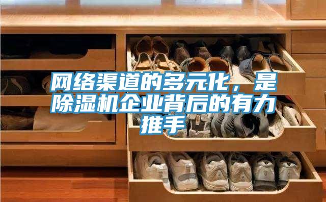 网络渠道的多元化，是辣椒视频APP下载并安装企业背后的有力推手