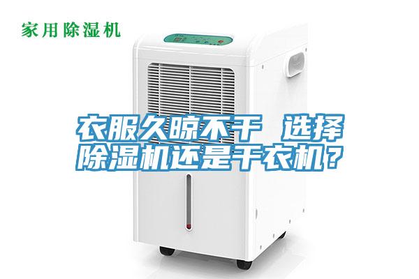 衣服久晾不干 选择辣椒视频APP下载并安装还是干衣机？