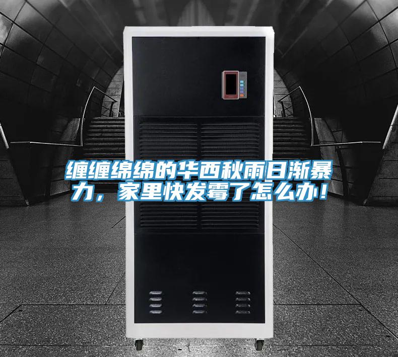 缠缠绵绵的华西秋雨日渐暴力，家里快发霉了怎么办！