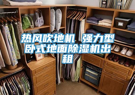 热风吹地机 强力型卧式地面辣椒视频APP下载并安装出租