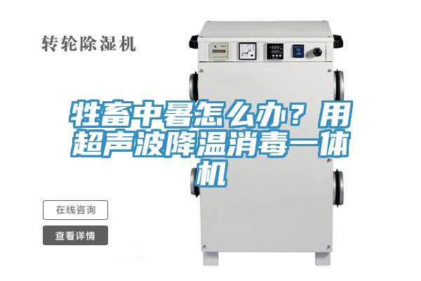 牲畜中暑怎么办？用超声波降温消毒一体机