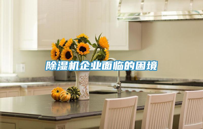 辣椒视频APP下载并安装企业面临的困境
