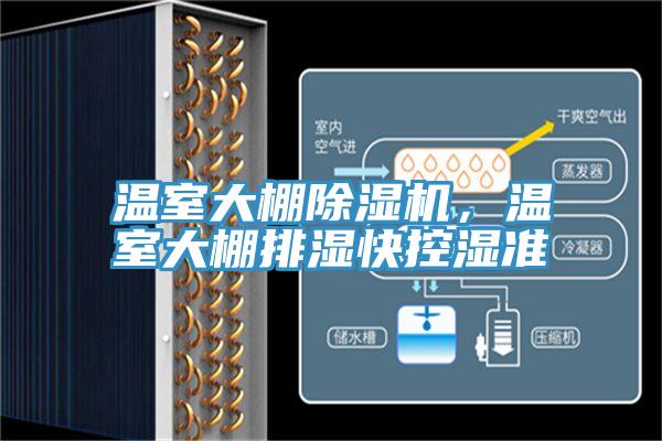 温室大棚辣椒视频APP下载并安装，温室大棚排湿快控湿准