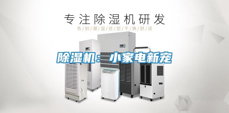 辣椒视频APP下载并安装：小家电新宠