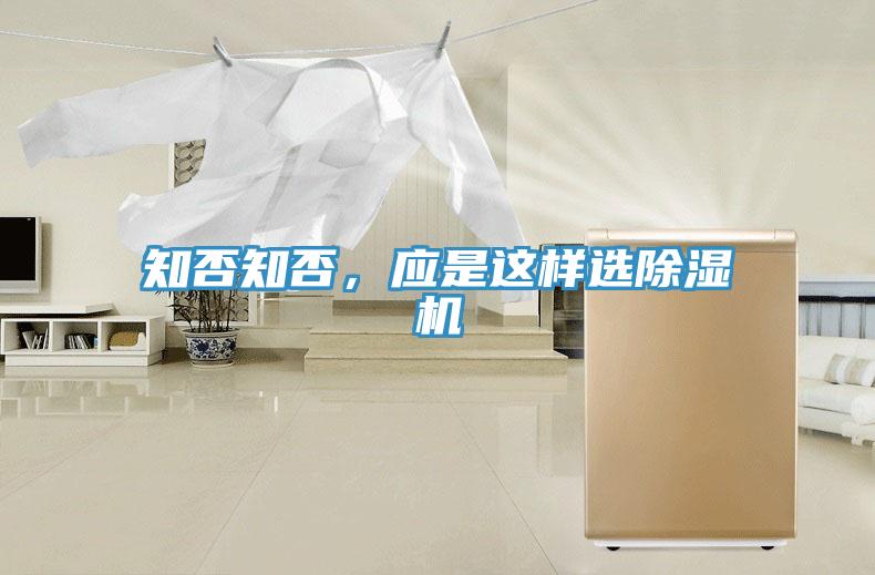 知否知否，应是这样选辣椒视频APP下载并安装