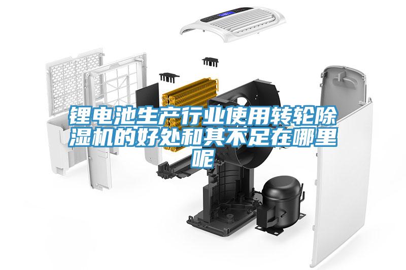 锂电池生产行业使用转轮辣椒视频APP下载并安装的好处和其不足在哪里呢
