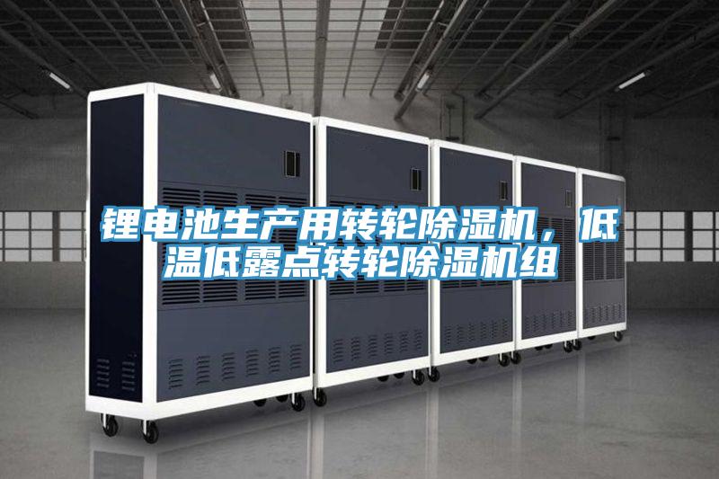 锂电池生产用转轮辣椒视频APP下载并安装，低温低露点转轮辣椒视频APP下载并安装组