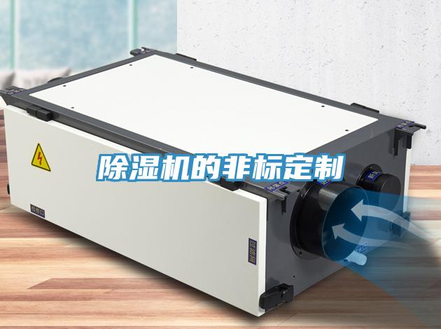 辣椒视频APP下载并安装的非标定制