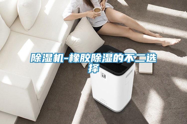 辣椒视频APP下载并安装-橡胶除湿的不二选择