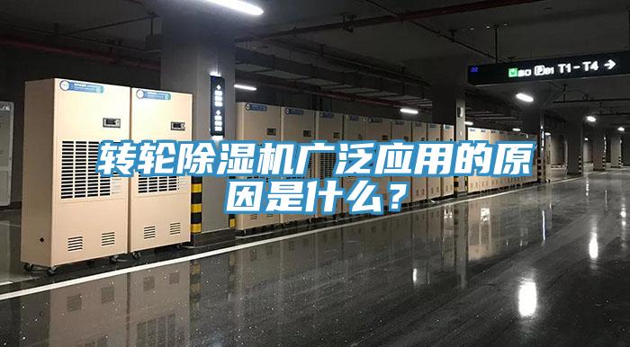 转轮辣椒视频APP下载并安装广泛应用的原因是什么？