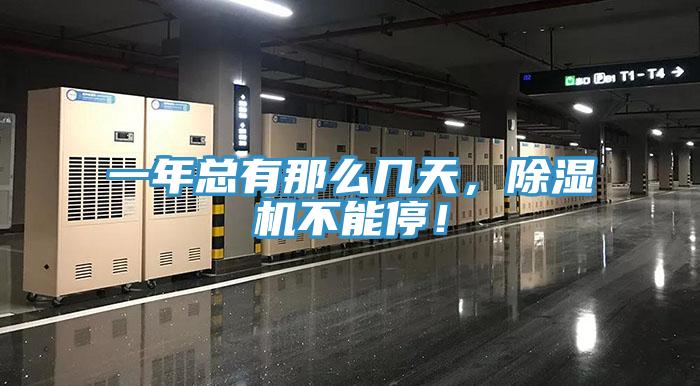 一年总有那么几天，辣椒视频APP下载并安装不能停！