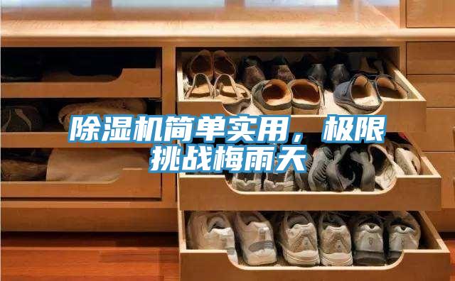 辣椒视频APP下载并安装简单实用，极限挑战梅雨天