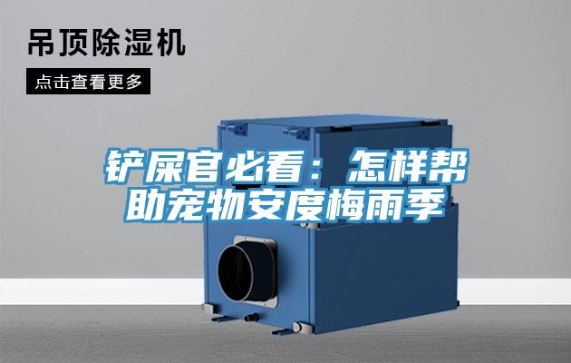 铲屎官必看：怎样帮助宠物安度梅雨季