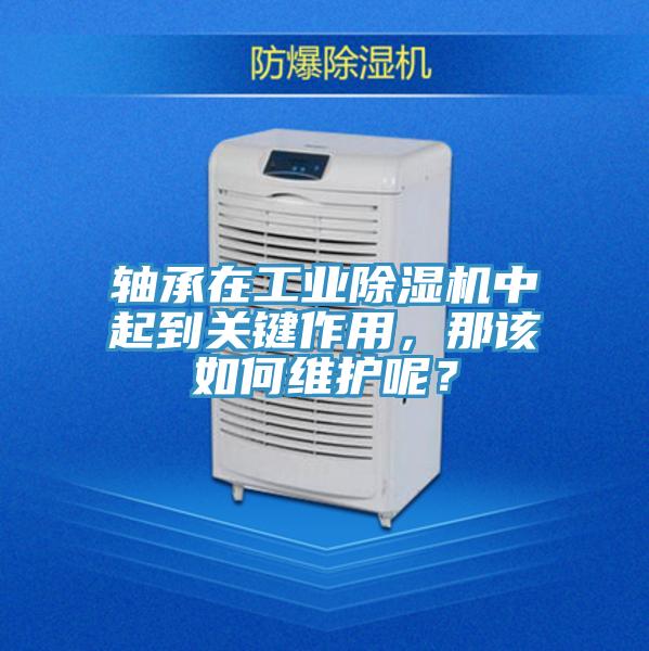 轴承在工业辣椒视频APP下载并安装中起到关键作用，那该如何维护呢？