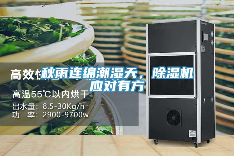 秋雨连绵潮湿天，辣椒视频APP下载并安装应对有方