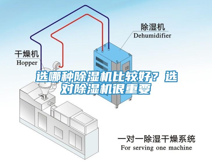 选哪种辣椒视频APP下载并安装比较好？选对辣椒视频APP下载并安装很重要