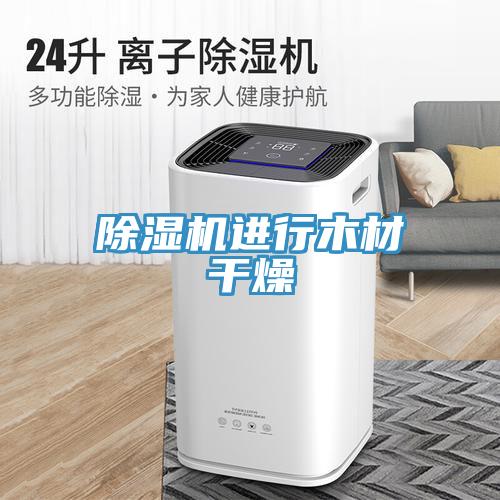 辣椒视频APP下载并安装进行木材干燥