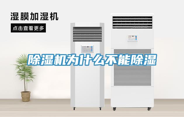 辣椒视频APP下载并安装为什么不能除湿