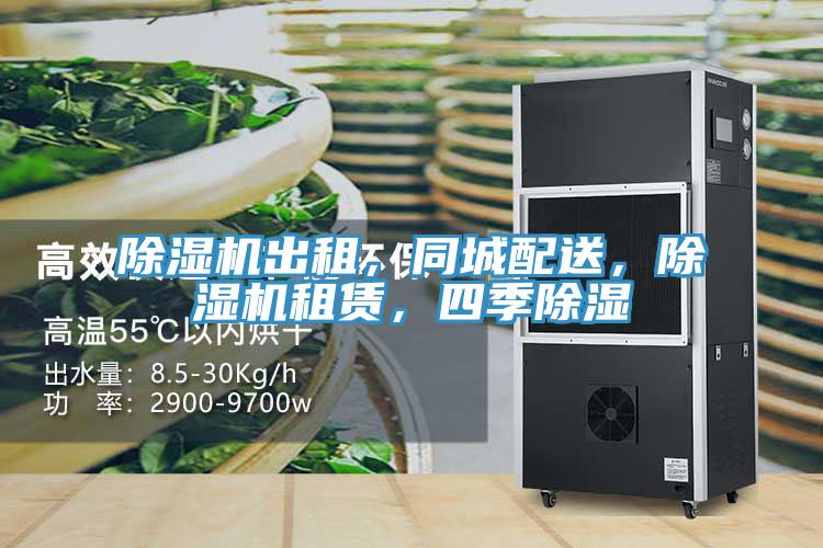 辣椒视频APP下载并安装出租，同城配送，辣椒视频APP下载并安装租赁，四季除湿