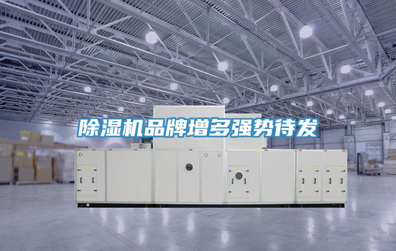辣椒视频APP下载并安装品牌增多强势待发