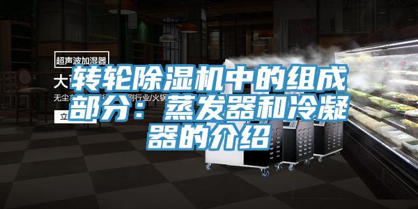 转轮辣椒视频APP下载并安装中的组成部分：蒸发器和冷凝器的介绍